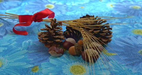 Still Life with Pine Cones, Chestnuts, Acorns and Wheat Ears Stock Footage 346698878