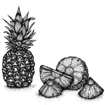Still Life with Pineapple Stock Illustration