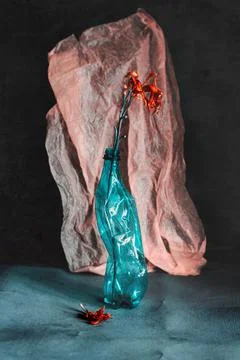 Still life from plastic packaging, package, flowers. Plastic bottle instead o Stock Photos