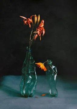 Still life from plastic packaging. Plastic bottle instead of a vase. Upcyclin Stock Photos