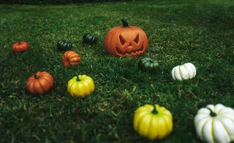 Still life of plastic pumpkins decorations for halloween at the park Stock Photos
