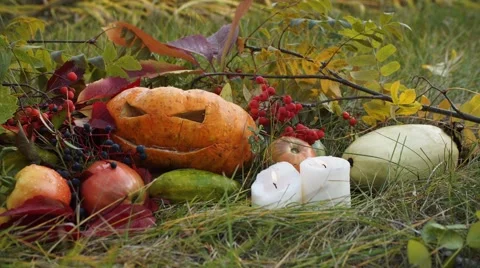 Still life with pumpkin for Halloween autumn day in nature Stock Footage