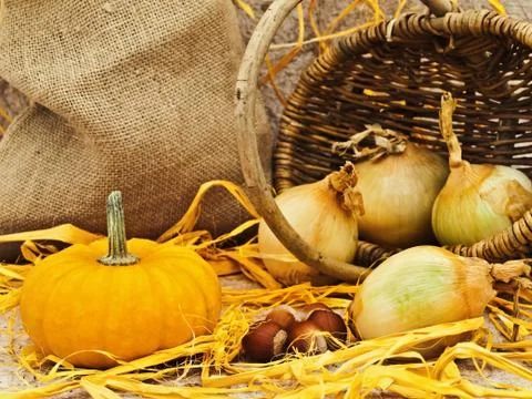 Still Life With Pumpkin Stock Photos