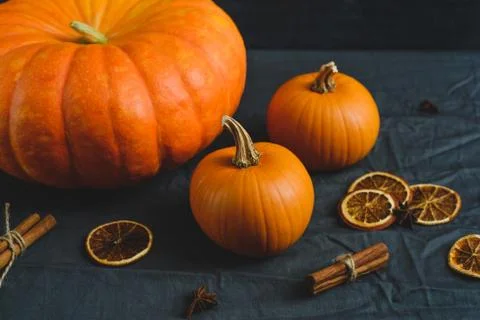 Still life of pumpkins Stock Photos