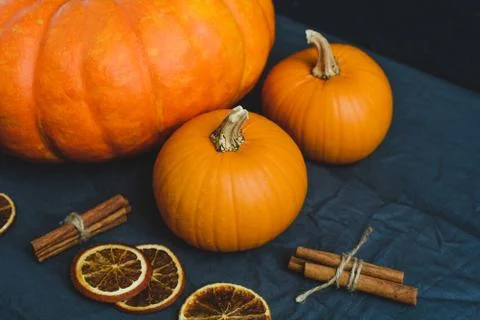 Still life of pumpkins Stock Photos