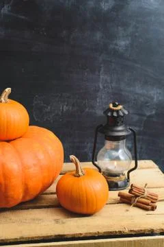 Still life of pumpkins Stock Photos