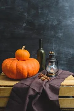 Still life of pumpkins Stock Photos