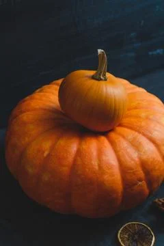 Still life of pumpkins Stock Photos