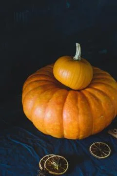 Still life of pumpkins Stock Photos