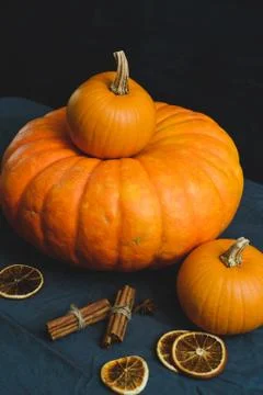 Still life of pumpkins Stock Photos