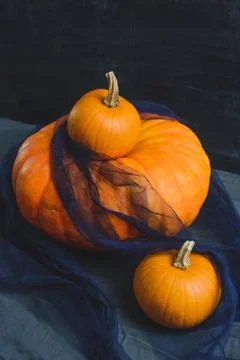 Still life of pumpkins Stock Photos