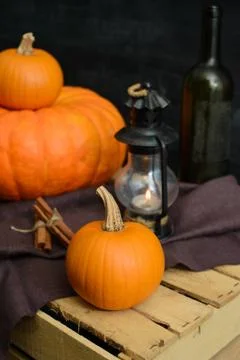 Still life of pumpkins Stock Photos
