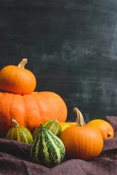 Still life of pumpkins Stock Photos