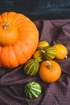 Still life of pumpkins Stock Photos