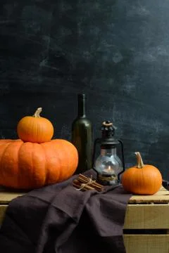 Still life of pumpkins Stock Photos