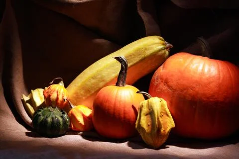 Still Life With Pumpkins Stock Photos