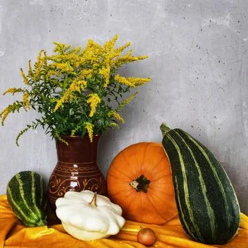 Still life with pumpkins. Stock Photos