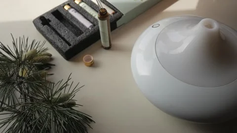 Still life setup with essential oil diffuser, pine branch, and wellness products Video stock 308938790
