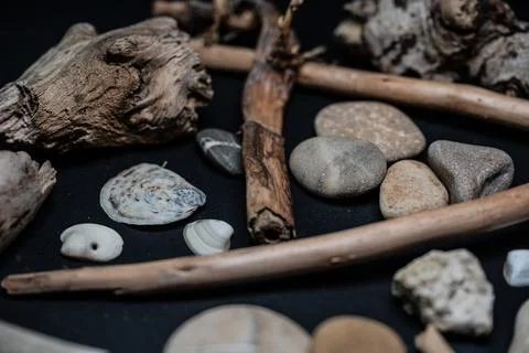 Still life of shells and artifacts shaped and returned by the sea 库存照片
