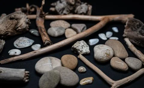 Still life of shells and artifacts shaped and returned by the sea 库存照片