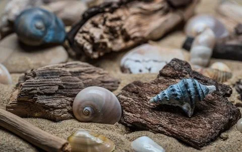 Still life of shells and artifacts shaped and returned by the sea 2 Stock Photos