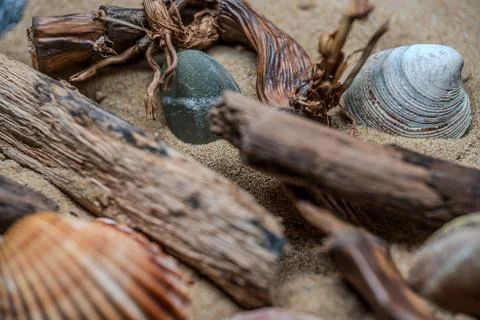 Still life of shells and artifacts shaped and returned by the sea 2 Stock-Fotos