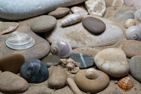 Still life of shells and artifacts shaped and returned by the sea 3 Stockfoto's