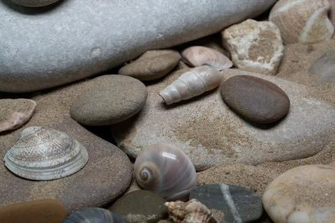 Still life of shells and artifacts shaped and returned by the sea 3 Stockfoto's