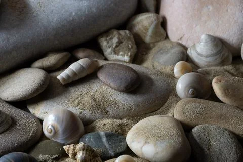 Still life of shells and artifacts shaped and returned by the sea 3 Foto stock