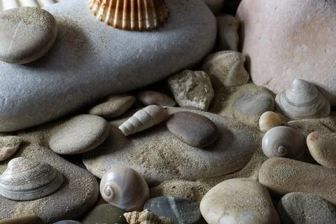 Still life of shells and artifacts shaped and returned by the sea 3 Stockfoto's