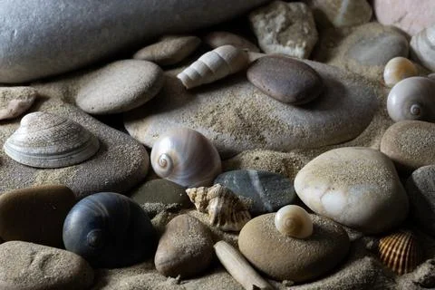 Still life of shells and artifacts shaped and returned by the sea 3 Foto stock