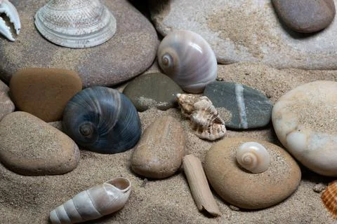 Still life of shells and artifacts shaped and returned by the sea 3 Stockfoto's