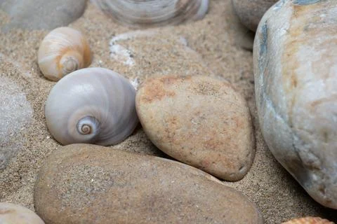 Still life of shells and artifacts shaped and returned by the sea 3 Stockfoto's
