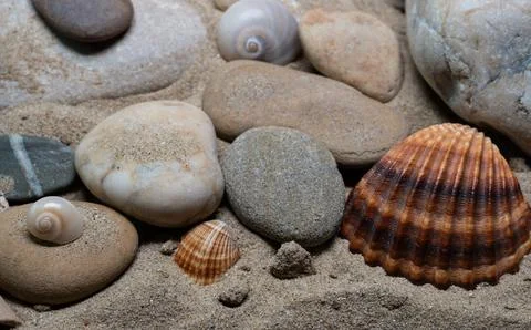 Still life of shells and artifacts shaped and returned by the sea 3 Stockfoto's