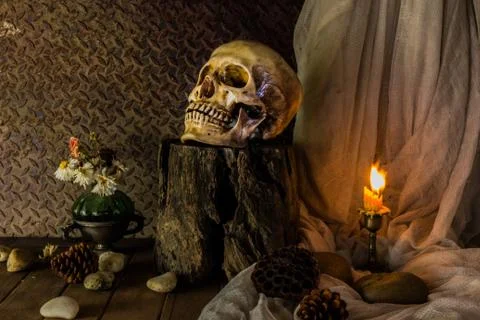 Still Life with a Skull. Stock Photos