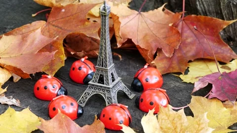 Still life with a souvenir Eiffel Tower in the forest on an autumn day. Stock Footage 318564894