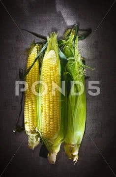 Still life with three indian corn ears on gray linen canvas Stock Photos