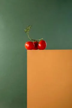 Still life with tomatoes on a rectangular table 스톡 사진