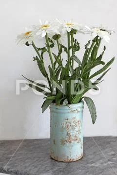 Still life with vase with chamomile flowers. Daisy flowers bouquet in  clay Stock Image #251781686