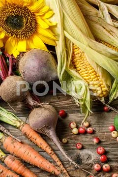 Still-life with vegetables and berries Stock Photos