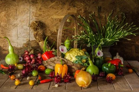 Still life  Vegetables, Herbs and Fruit. Stock Photos