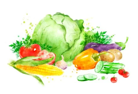 Still life with vegetables Stock Illustration