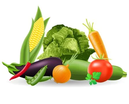 Still life of vegetables vector illustration Stock Illustration