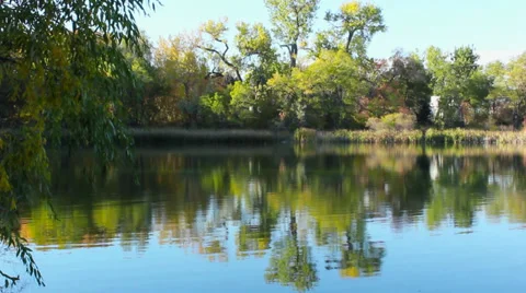 Still Pond Stock-Footage 33849501