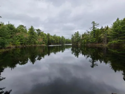 Still Pond Stock Photos