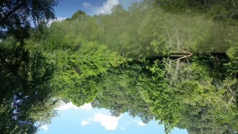 Still Quarry Forest Pond Stock Photos