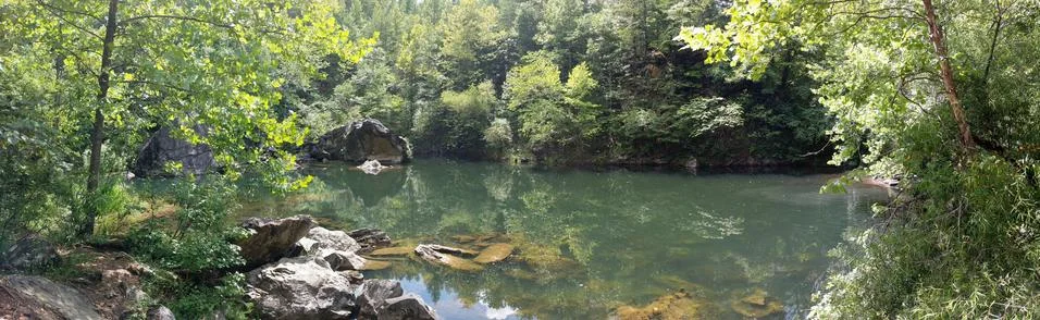 Still reflective pond panoramic Stock Photos