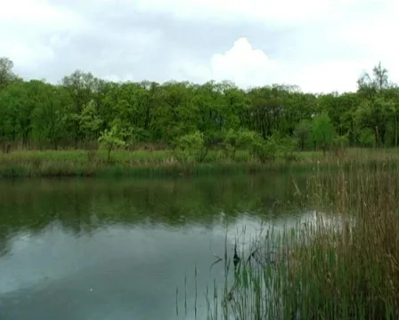 Still river Stock Footage 296623