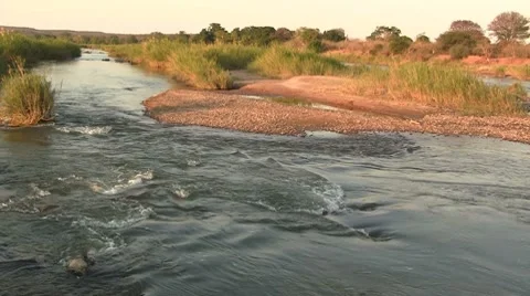 Still river Stock Footage 8568804