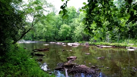 Still River Stock Footage 282415861